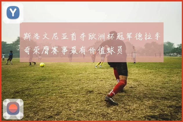 斯洛文尼亚首夺欧洲杯冠军德拉季奇荣膺赛事最有价值球员