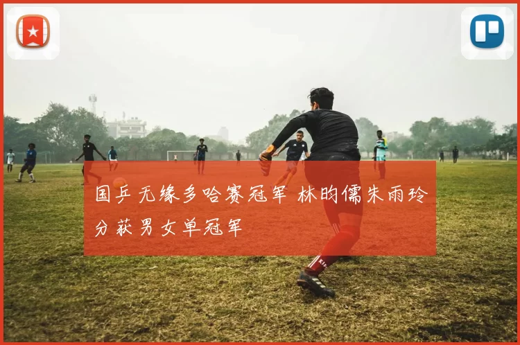 国乒无缘多哈赛冠军 林昀儒朱雨玲分获男女单冠军