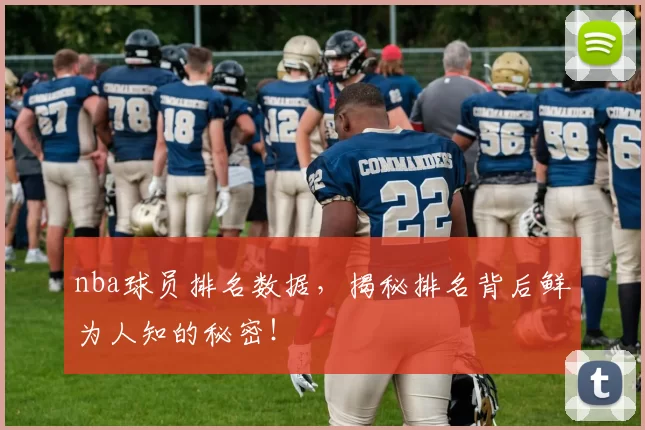 nba球员排名数据，揭秘排名背后鲜为人知的秘密！
