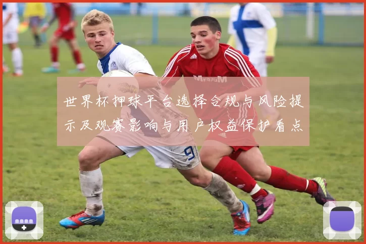 世界杯押球平台选择合规与风险提示及观赛影响与用户权益保护看点