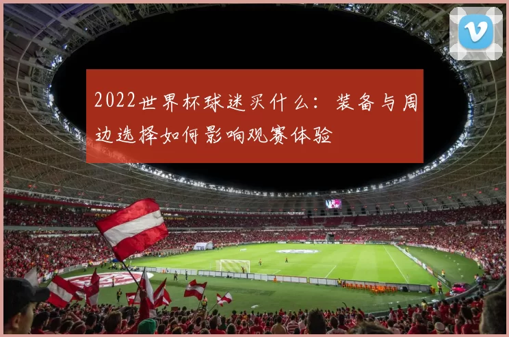2022世界杯球迷买什么：装备与周边选择如何影响观赛体验