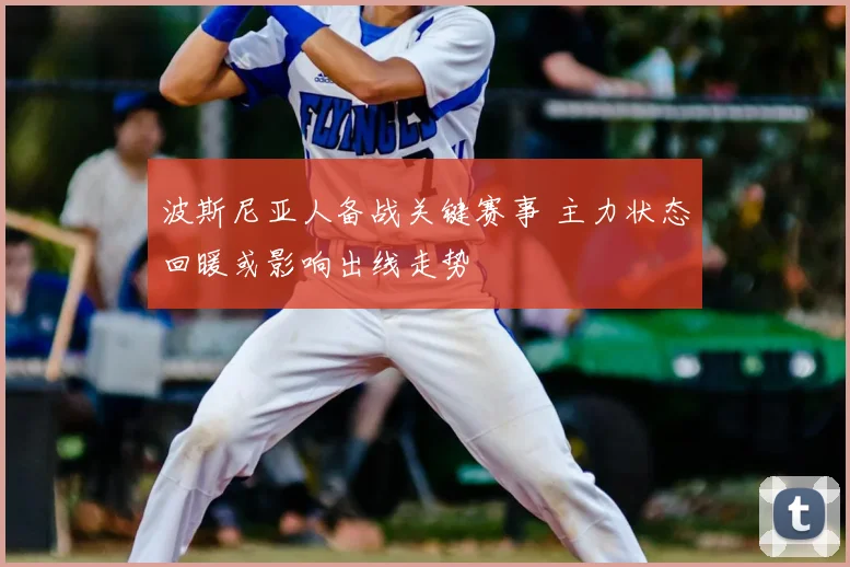 波斯尼亚人备战关键赛事 主力状态回暖或影响出线走势