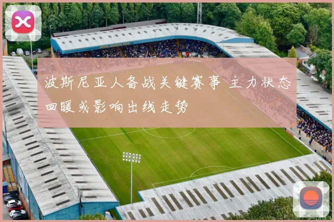 波斯尼亚人备战关键赛事 主力状态回暖或影响出线走势