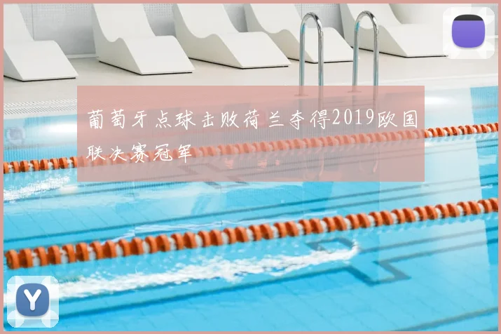 葡萄牙点球击败荷兰夺得2019欧国联决赛冠军