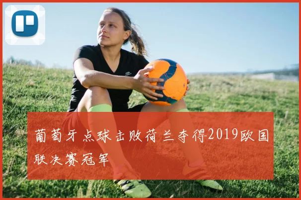 葡萄牙点球击败荷兰夺得2019欧国联决赛冠军